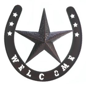 Lonestar Welcome Wall Decor